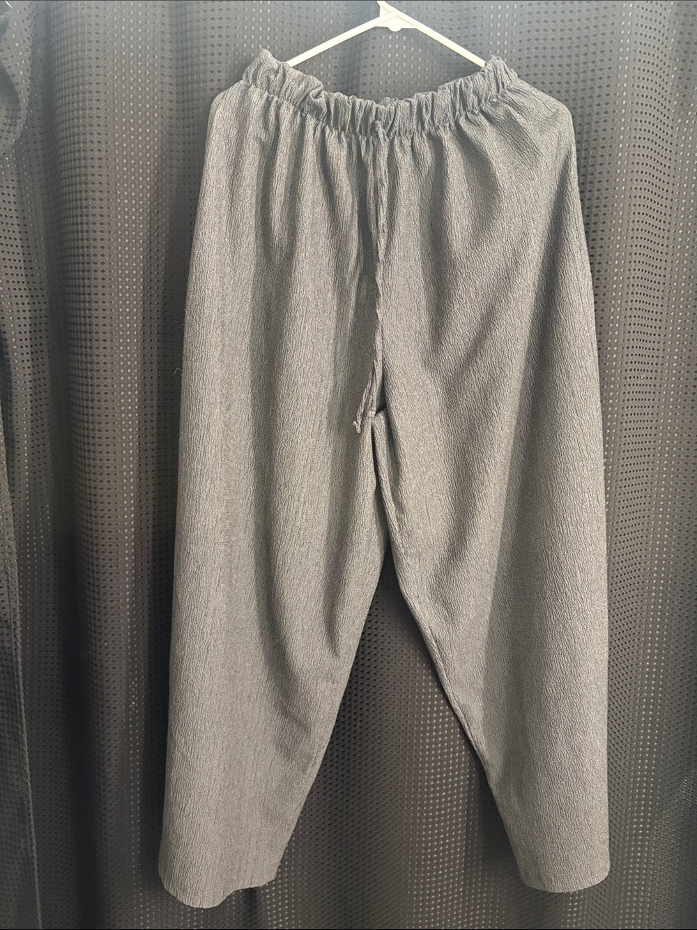 Zara Wide-Leg Elastic Waist Pants in Light Gray